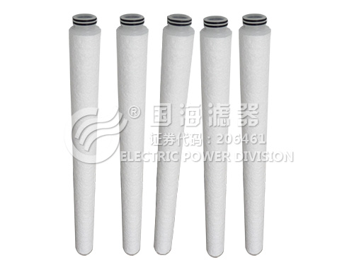 凝結(jié)水精處理覆蓋過濾器濾元